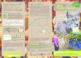New forest wildlife park leaflet